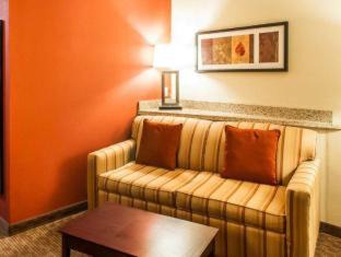 Gallup Hotel | Pet-Friendly Retreat at Comfort Suites Gallup East