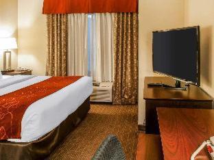 Gallup Hotel | Pet-Friendly Retreat at Comfort Suites Gallup East