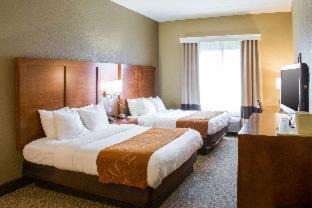 Grand Rapids Hotel | Relax at Comfort Suites Grand Rapids South with Pool & Hot Tub