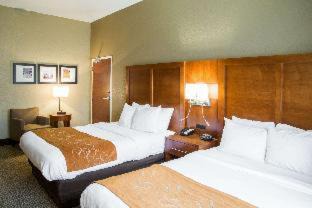 Grand Rapids Hotel | Relax at Comfort Suites Grand Rapids South with Pool & Hot Tub