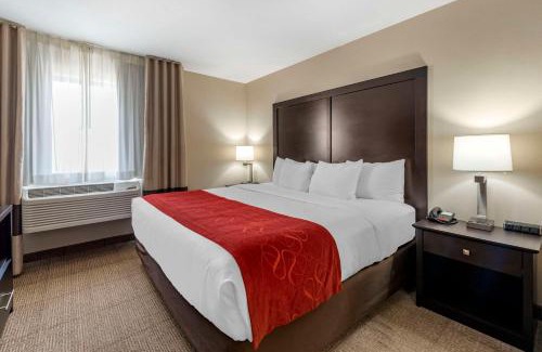Highlands Ranch Hotel | Pet-Friendly Comfort Suites Highlands Ranch near Denver Tech
