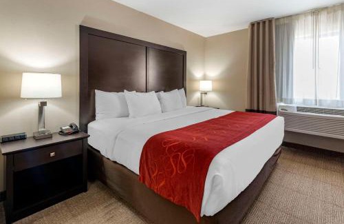 Highlands Ranch Hotel | Pet-Friendly Comfort Suites Highlands Ranch near Denver Tech