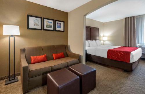 Highlands Ranch Hotel | Pet-Friendly Comfort Suites Highlands Ranch near Denver Tech
