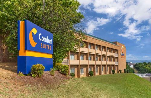Salem Hotel | Inviting Comfort Suites Inn at Ridgewood Farm with Pool