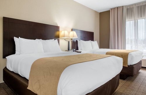 Lafayette Hotel | Comfort Suites Lafayette University Area: Family-Friendly Stay