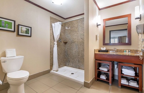 Manhattan Hotel | Ideal Comfort Suites Manhattan with Pool and Spa Amenities