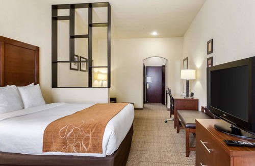 Webster Hotel | Inviting Comfort Suites near NASA - Family-Friendly Amenities