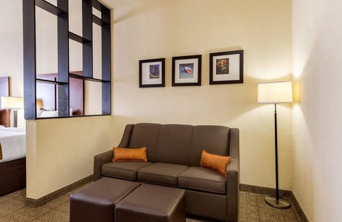Webster Hotel | Inviting Comfort Suites near NASA - Family-Friendly Amenities