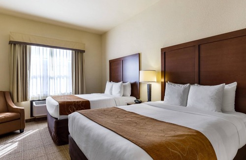 Webster Hotel | Inviting Comfort Suites near NASA - Family-Friendly Amenities