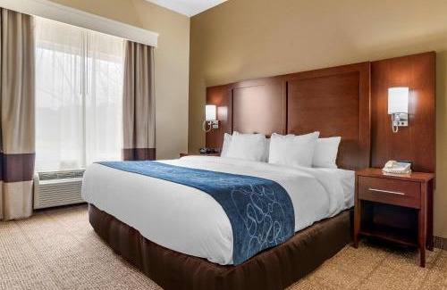 Niceville Hotel | Pet-Friendly Comfort Suites Near Eglin Air Force Base