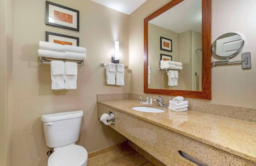 Sarasota Hotel | Family-Friendly Comfort Suites Sarasota near Siesta Key