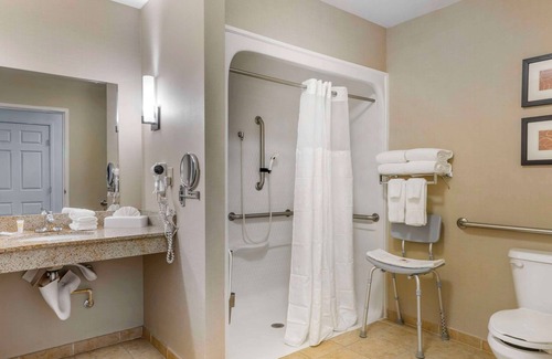 Sarasota Hotel | Family-Friendly Comfort Suites Sarasota near Siesta Key