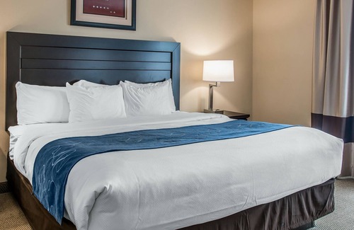 Saint Marys  Saint Joseph County Hotel | Comfort Suites South Bend: Family-Friendly with Pool & Spa