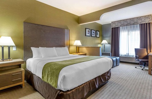 Southgate Hotel | Comfort Suites Southgate-Detroit: Poolside Family Retreat