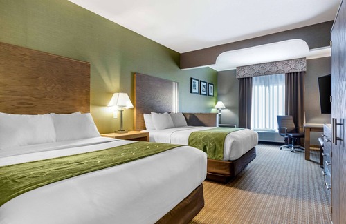 Southgate Hotel | Comfort Suites Southgate-Detroit: Ideal for Family Getaways