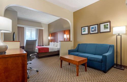 Tallahassee Hotel | Comfort Suites Tallahassee Downtown: Family & Pet Friendly Stay