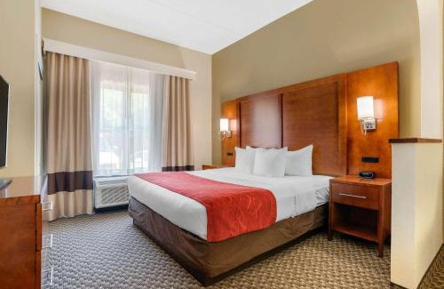 Tallahassee Hotel | Comfort Suites Tallahassee Downtown: Family & Pet Friendly Stay