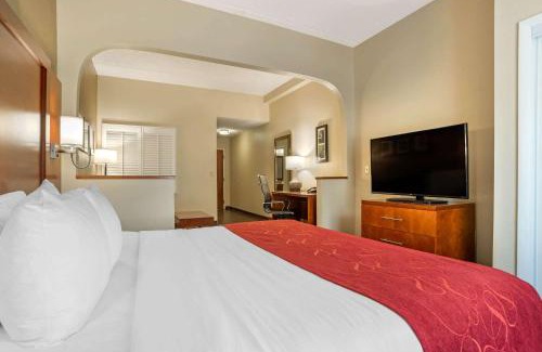 Tallahassee Hotel | Comfort Suites Tallahassee Downtown: Family & Pet Friendly Stay