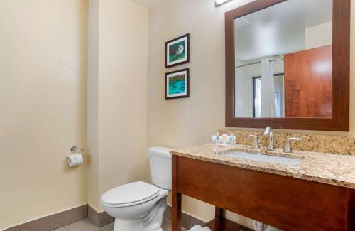 Tallahassee Hotel | Comfort Suites Tallahassee Downtown: Family & Pet Friendly Stay