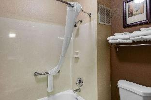 The Colony Hotel | Inviting Comfort Suites The Colony: Pet-Friendly & Poolside