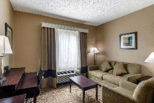The Colony Hotel | Inviting Comfort Suites The Colony: Pet-Friendly & Poolside