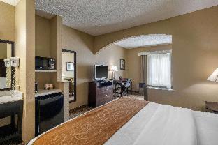 The Colony Hotel | Inviting Comfort Suites The Colony: Pet-Friendly & Poolside