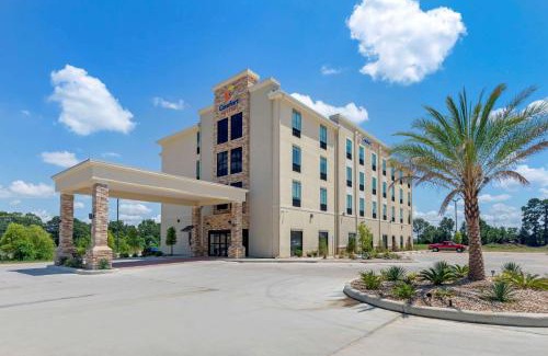 Claiborne Hotel | Pet-Friendly Comfort Suites West Monroe near Expo Center