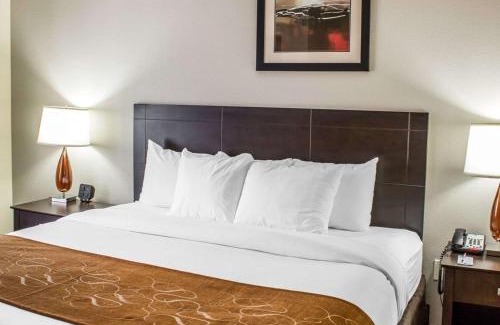Wilson Hotel | Relax at Comfort Suites Wilson - I - 95 with Pool & Breakfast