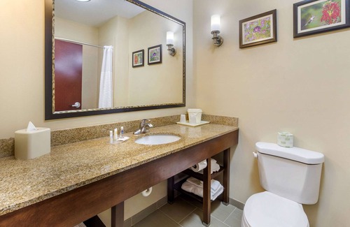 Wilson Hotel | Relax at Comfort Suites Wilson I-95 with Pool & Spa Access
