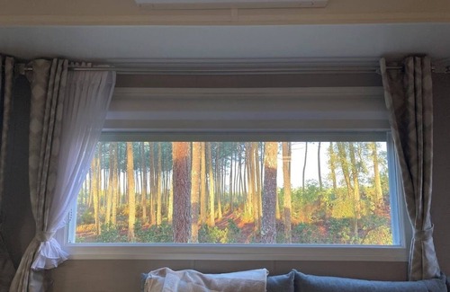 Saint-Julien-en-Born House | Comfortable MH with forest view, 10-minute drive to sea, small pets welcome.