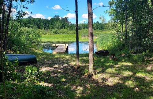 Grand Rapids House | Pet-Friendly Cape Cod Home with Lake Views & Family Focus