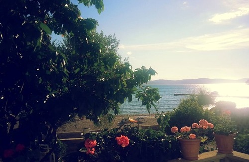 Sukosan Apartment | Comfortable apartment with wonderful view on the sea and garden