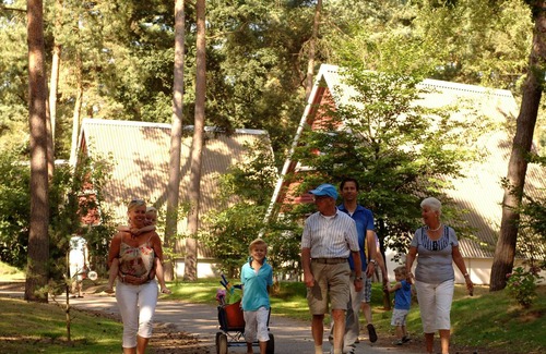 Municipality of Geldrop-Mierlo Cabin | Comfortable chalet with microwave in natural surroundings