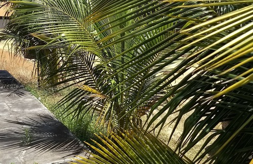 Iguabinha House | Guest Rated 10/10: Comfortable House with Pool in Araruama