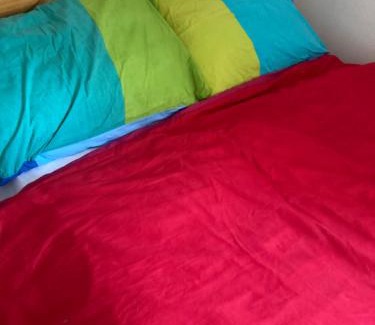 Newmarket House | Cozy Rooms at Number 8 with Pet-Friendly Amenities
