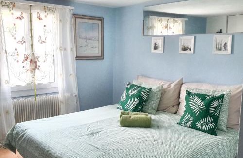 Morschach Apartment | Cozy Studio with Wifi in Pet-Friendly Morschach