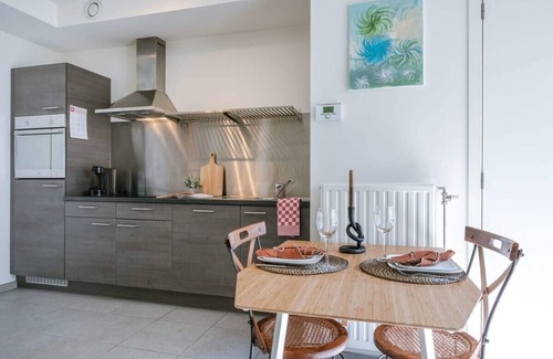 Brederode Apartment | Inviting Studio with Terrace and Kitchen in Antwerp