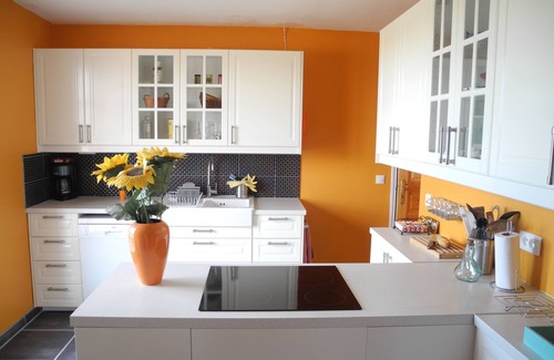 Castelnau-de-Guers Villa | Inviting Villa with Private Pool near Pézenas and Coast