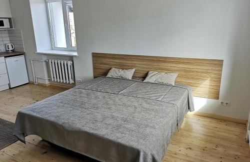 Kaunas Apartment | Cozy Patogūs Namai: Child-Friendly Retreat with 9.3 Rating