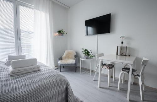 Oulu Apartment | Top Floor Studio in Prime Location - Pet Friendly Stay