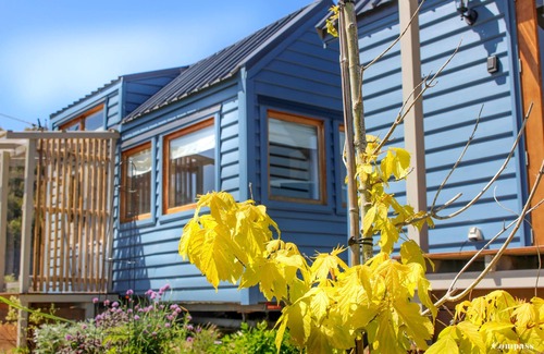 Forthside Cabin | Discover Compass Hut: Top-Rated Stay with Restaurant & Kitchen