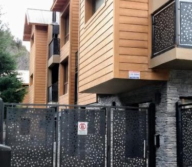 San Martin de los Andes Apartment | Explore Complejo Lanín: Child-Friendly with Hot Tub Access