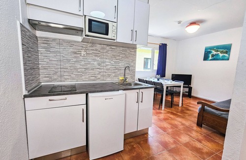 Bubal Apartment | Pet-Friendly Retreat at Complejo Bubal Formigal 3000