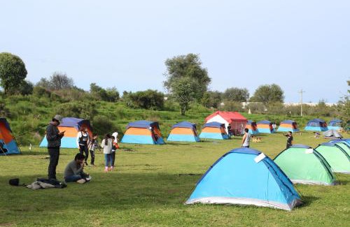 Nanacamilpa Other | Discover Eco Reino Aventura: Family-Friendly Forest Retreat