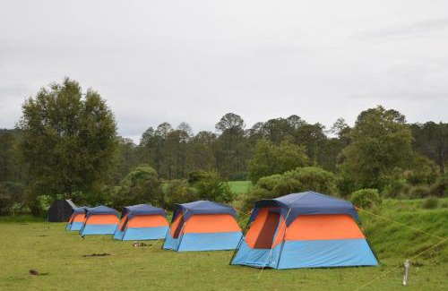 Nanacamilpa Other | Discover Eco Reino Aventura: Family-Friendly Forest Retreat
