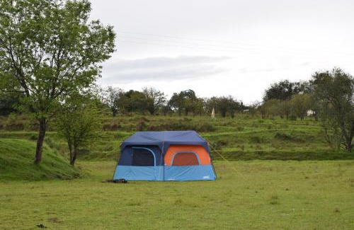 Nanacamilpa Other | Discover Eco Reino Aventura: Family-Friendly Forest Retreat