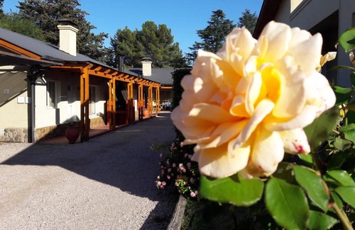 Sierra de la Ventana Cabin | Cozy Complejo Las Calandrias: Pet-Friendly with Pool Access