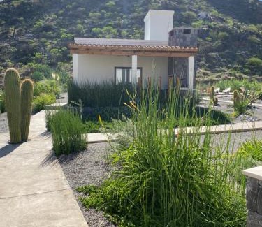 Cafayate House | Inviting Complejo Los Olivos: Pet-Friendly & Pool Access