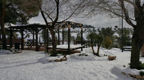 Biar Hotel | Pet-Friendly Complejo Rural Las Lomas de Biar with Pool