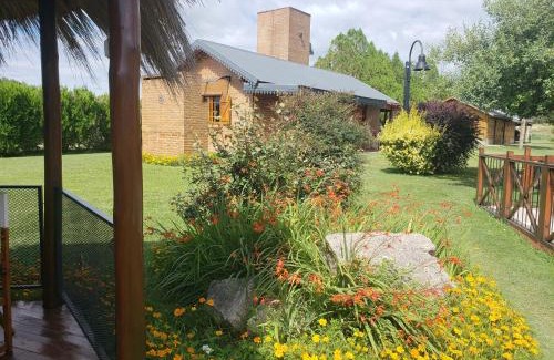 Panaholma House | Exceptional Complejo Tierra Mia with Oceanfront Pool & Spa